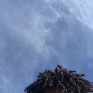 Meet your Posher, Caleel